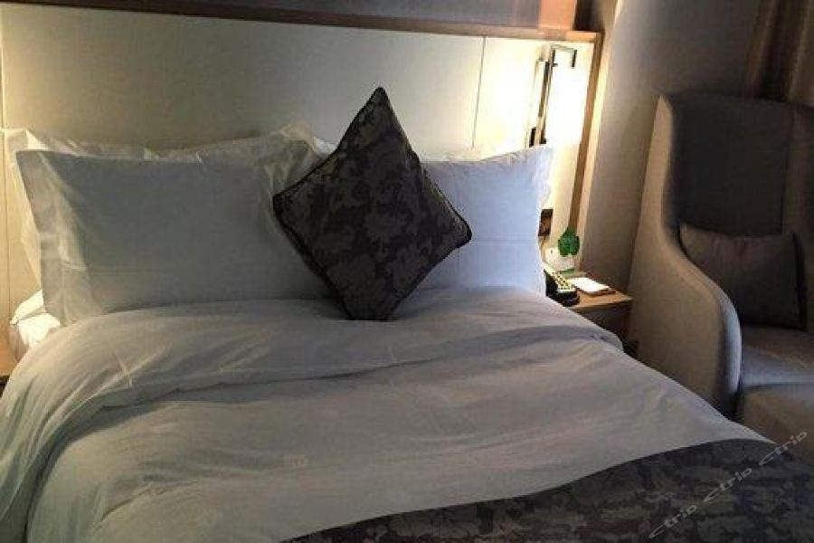 Hongdu Hotel Shenzhen Esterno foto